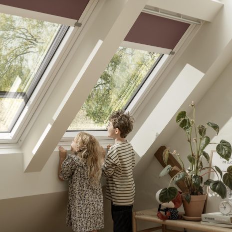 Blackout Blind & Anti-heat - Kids Blackout Blind & Anti-heat - Kids